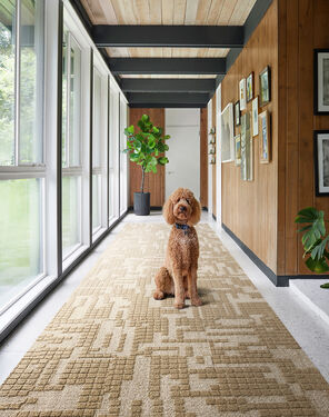 Why FLOR page, showing a lifestyle image of Connect The Dots shown in Flint/Pearl