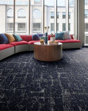 Seeing Stars - Baltic