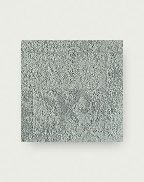 Down To Earth - Lichen