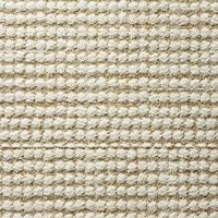 Penny For Your Thoughts - Lichen