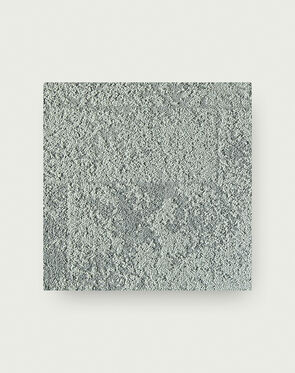 Down To Earth - Lichen
